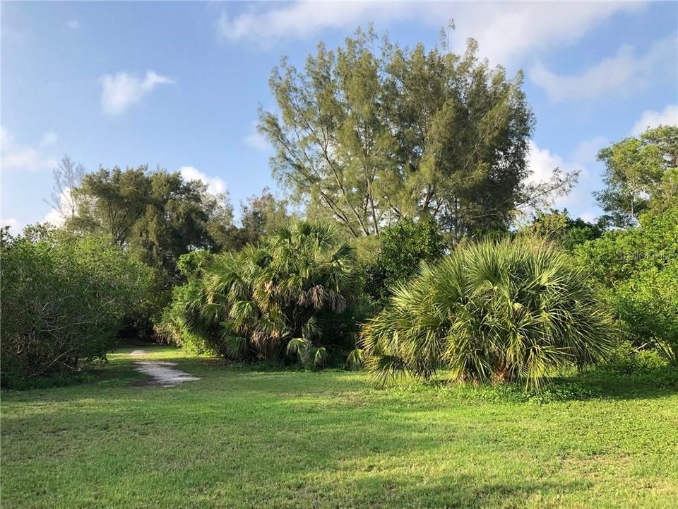 Nature trails within The Landings to enjoy the outdoors.