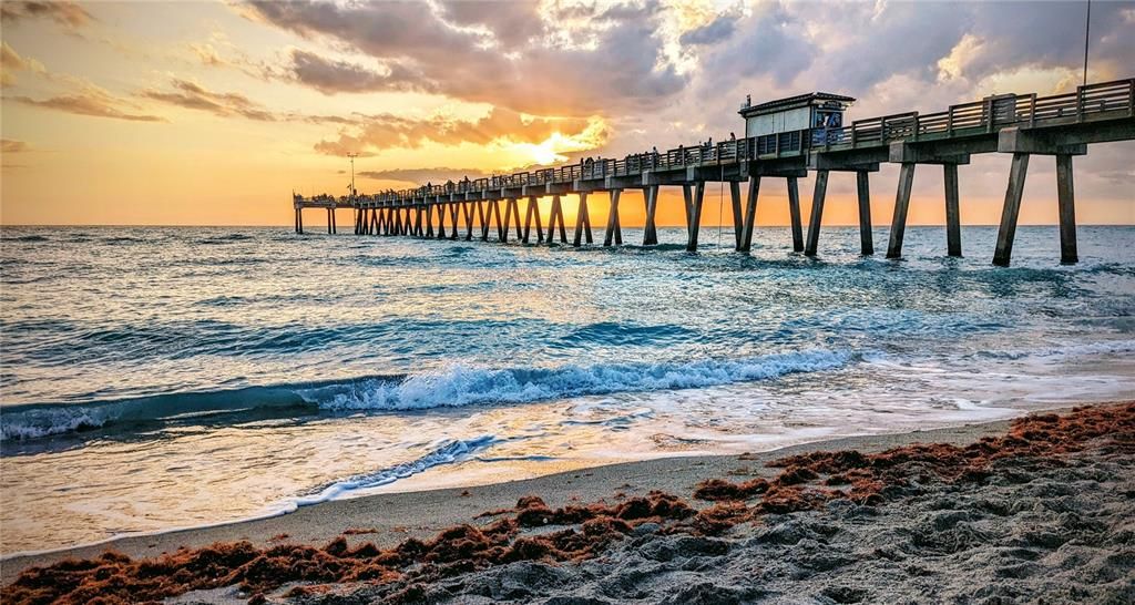 Venice Pier