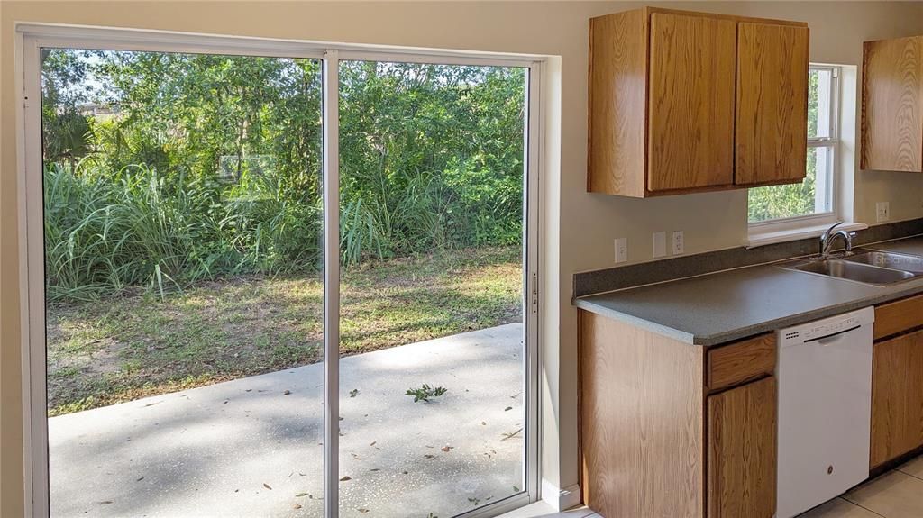 Sliding Doors leading to Backyard as seen from your Dining Room bring the light INSIDE!