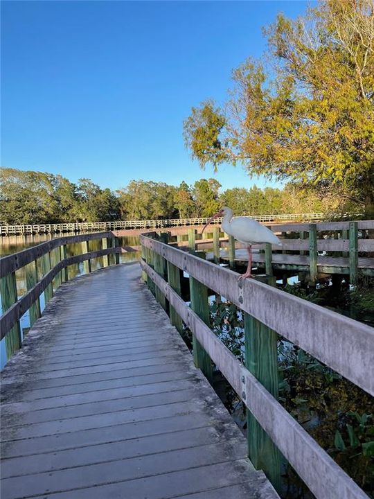 Nature walk