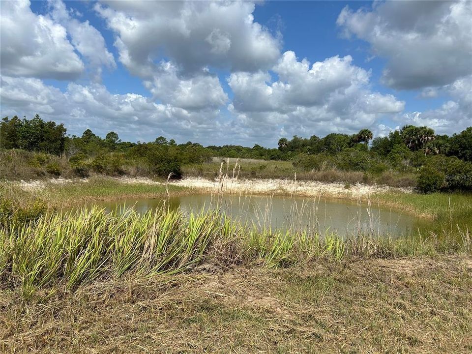 En Venta: $24,000 (1.25 acres)