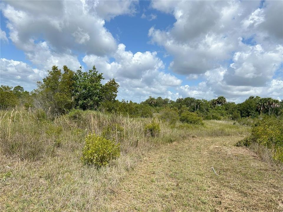 En Venta: $24,000 (1.25 acres)