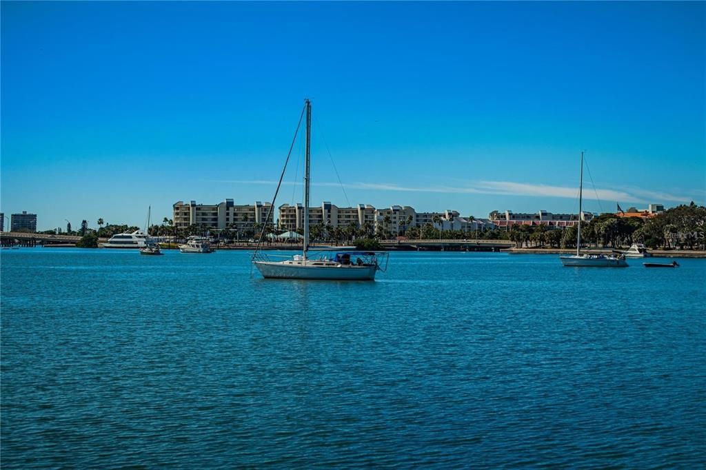 Boca Ciega Bay