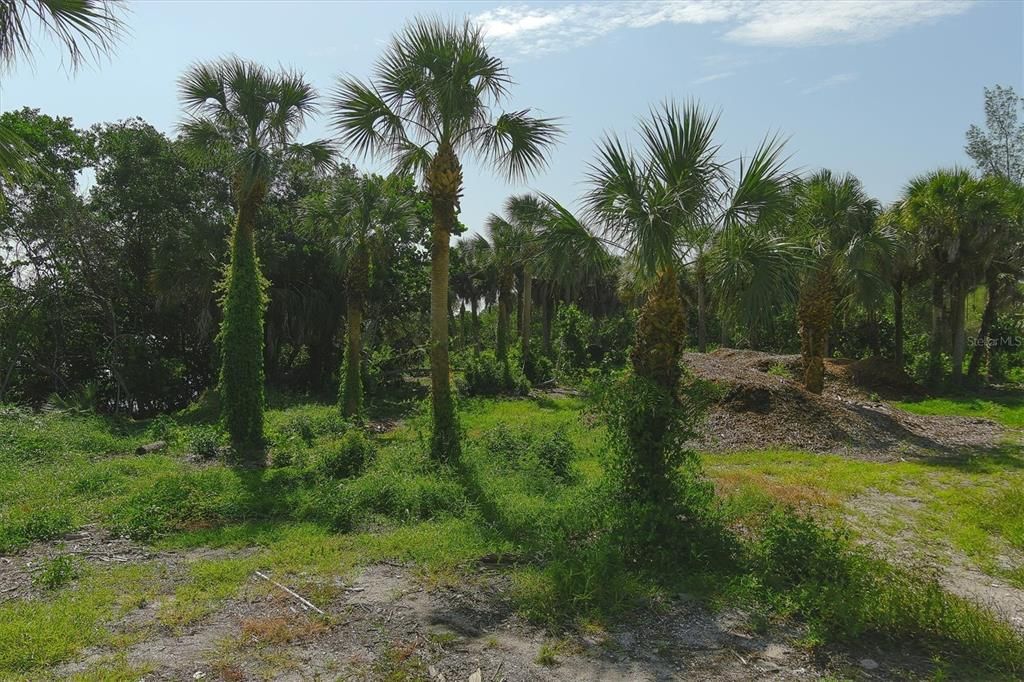 Active With Contract: $780,000 (0.36 acres)