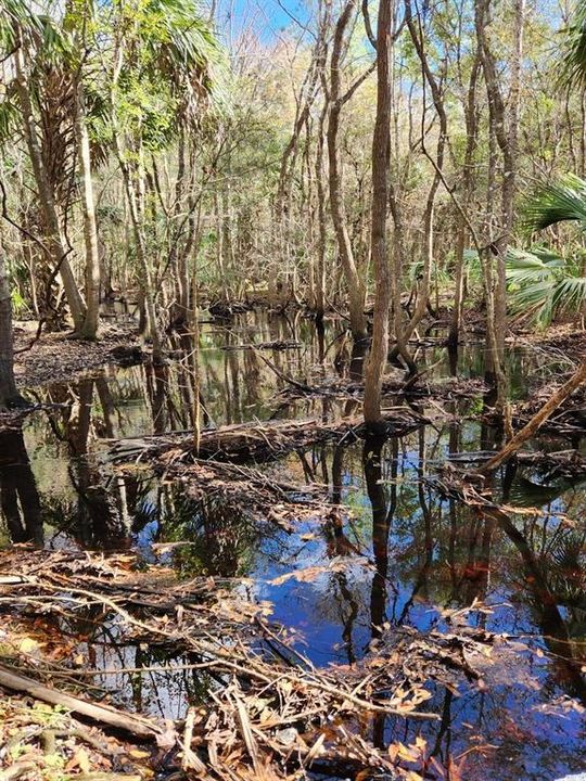 На продажу: $260,000 (24.00 acres)