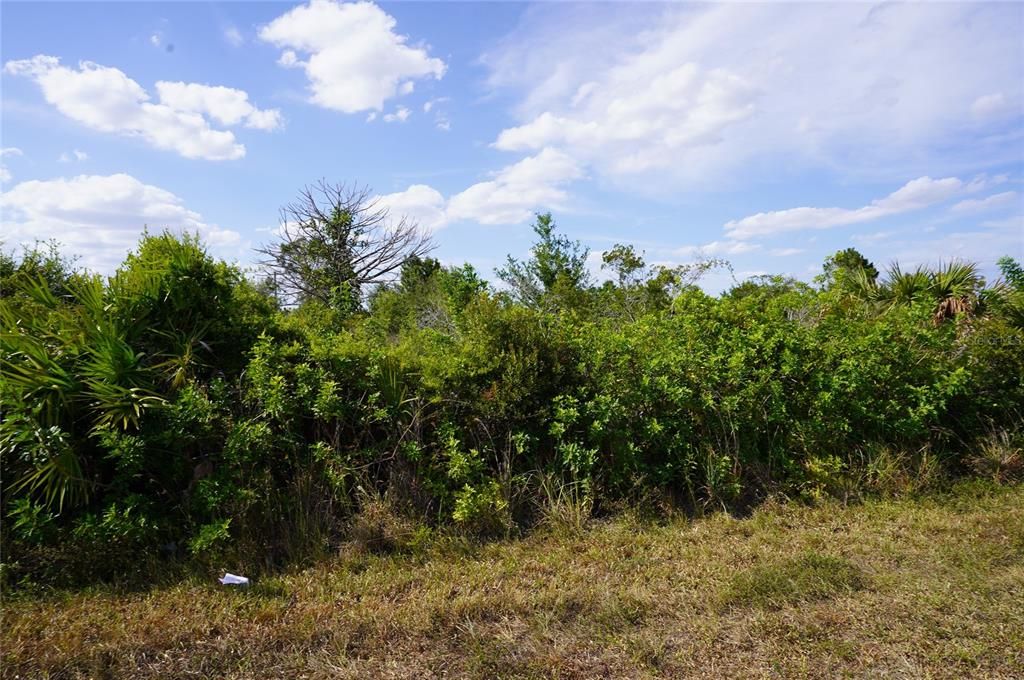 En Venta: $53,900 (0.23 acres)