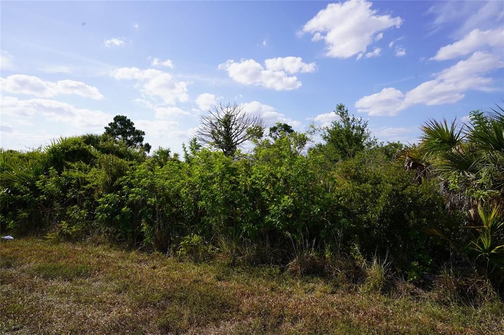 For Sale: $53,900 (0.23 acres)