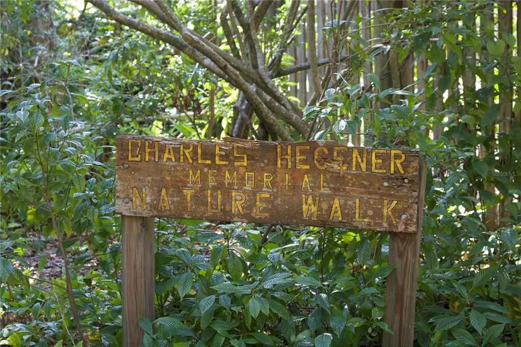 This nature trail is just two blocks away, and this windy shady path leads to the Bay.