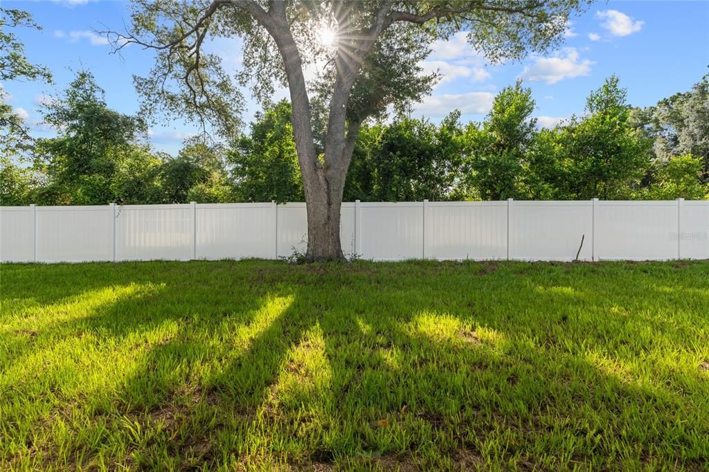 For Sale: $517,000 (3 beds, 2 baths, 2247 Square Feet)