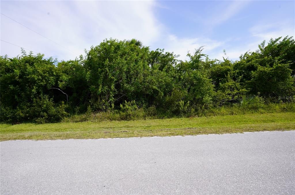 For Sale: $57,900 (0.31 acres)