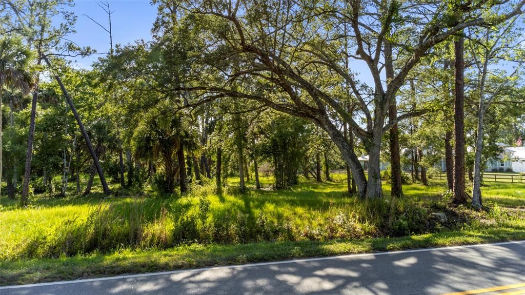 For Sale: $324,000 (3.12 acres)