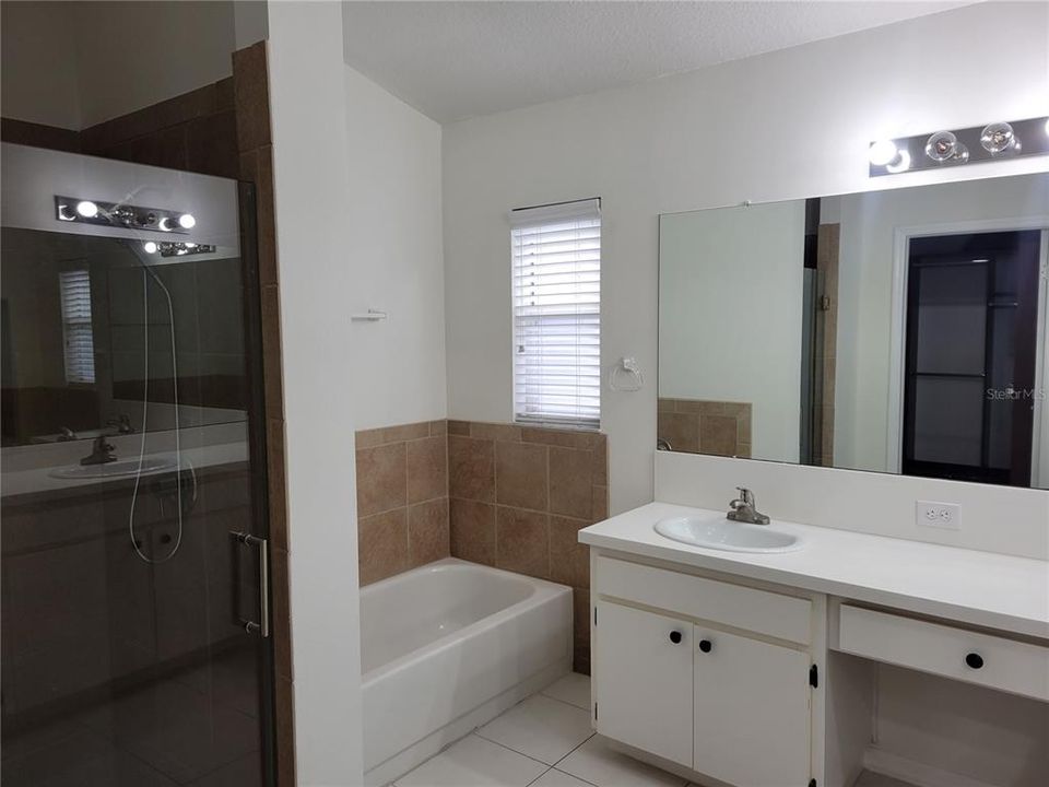 SEPARATE SHOWER AND TUB IN MASTER BATH