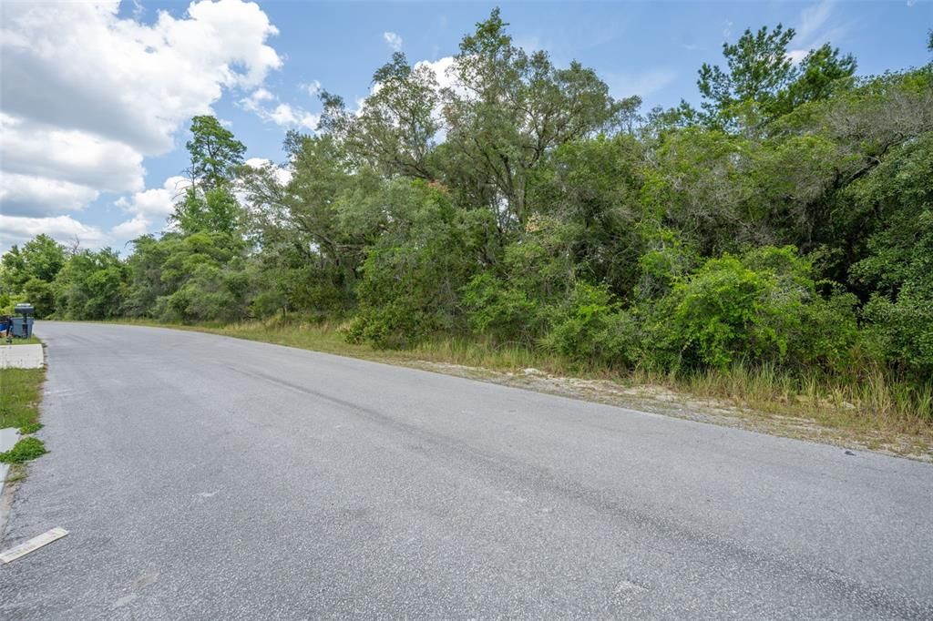 Active With Contract: $22,000 (0.31 acres)