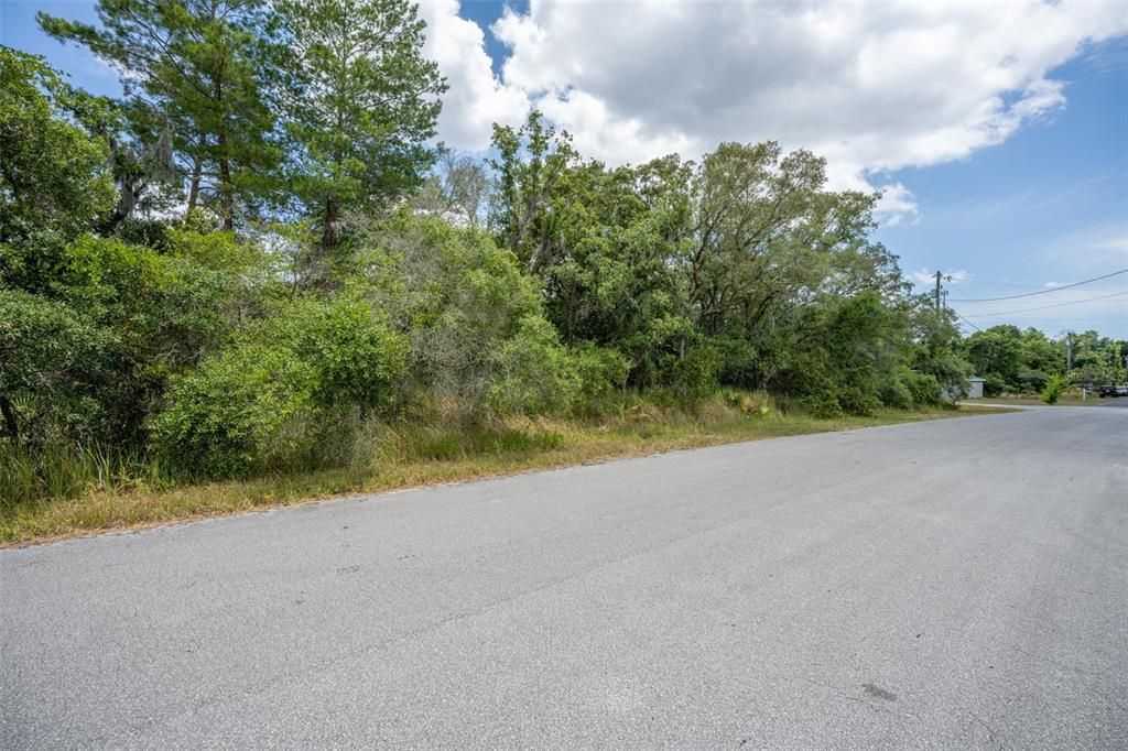 Active With Contract: $22,000 (0.31 acres)