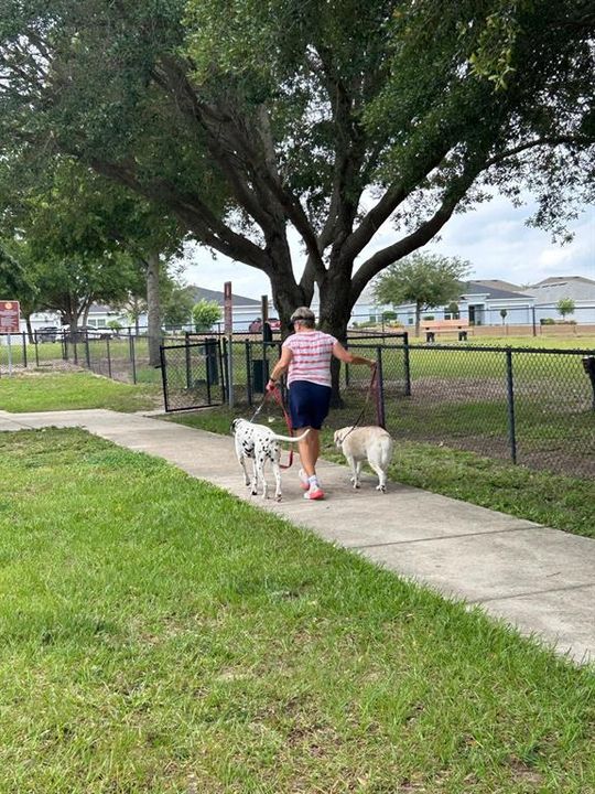 Community Dog Park