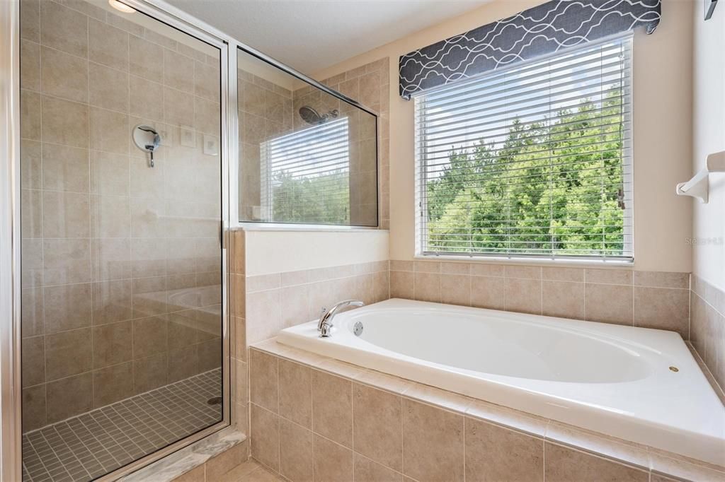 Large Shower and Soaking Tub