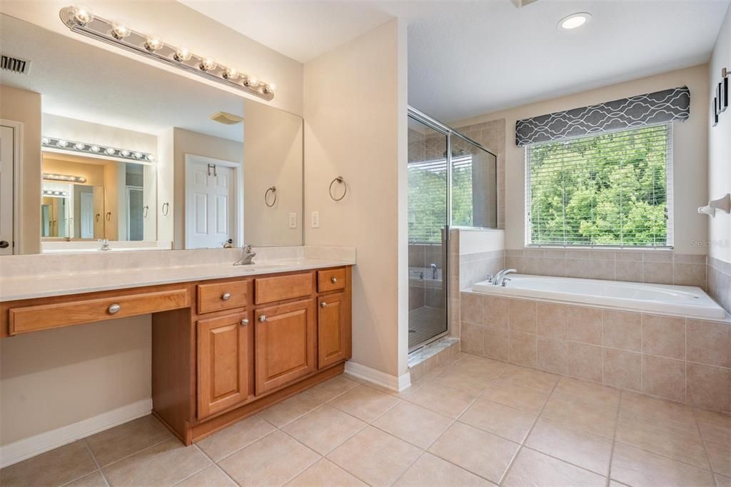 Shower/Tub Combination