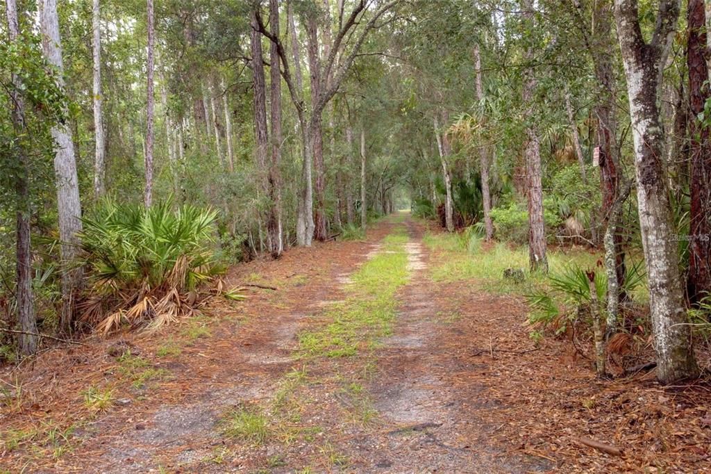 Active With Contract: $99,900 (16.29 acres)