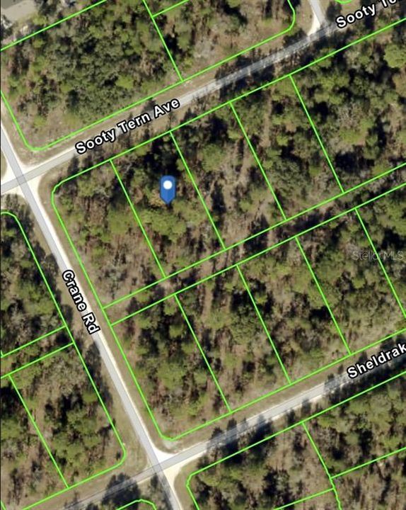 Active With Contract: $29,999 (0.46 acres)