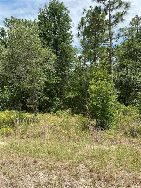 Active With Contract: $29,999 (0.46 acres)