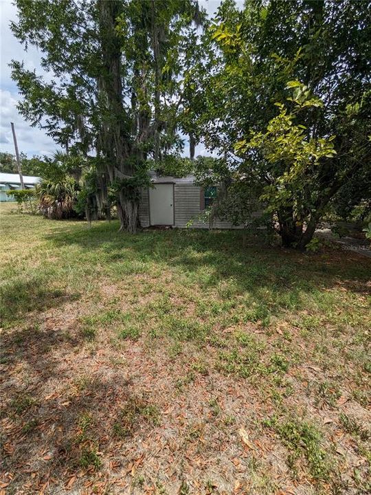 Backyard and Shed