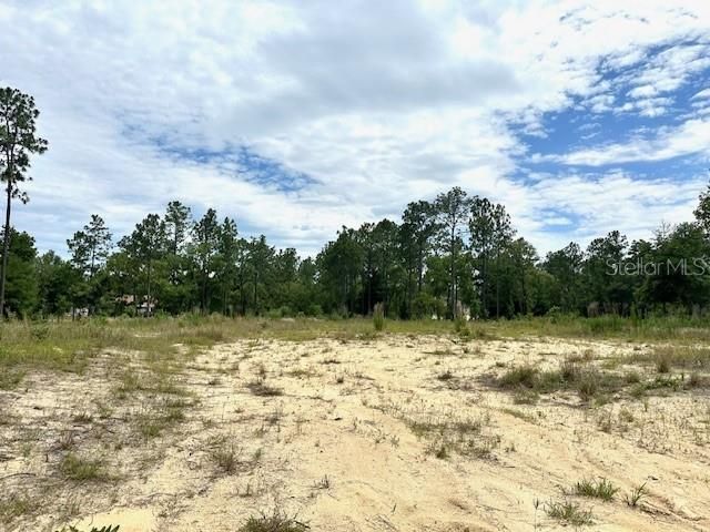 Active With Contract: $70,000 (1.47 acres)