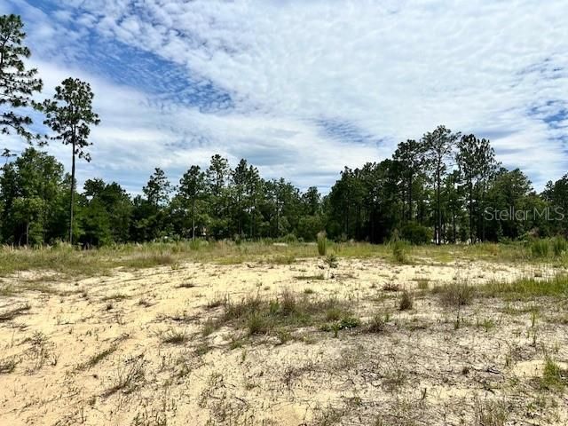 Active With Contract: $70,000 (1.47 acres)