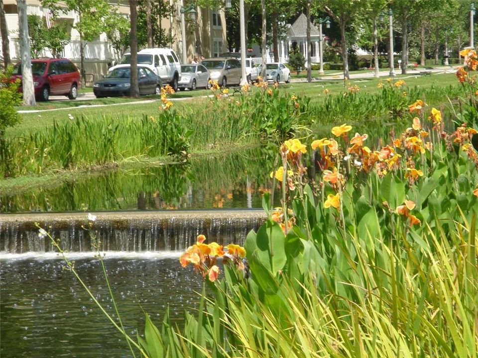 Water Street Canal