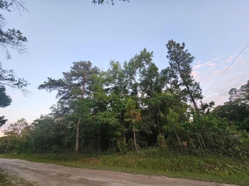 Active With Contract: $30,000 (1.10 acres)