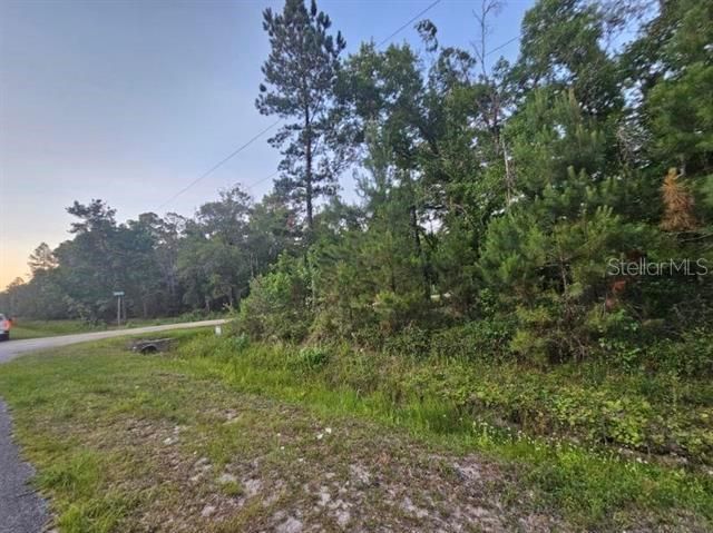 For Sale: $30,000 (1.10 acres)