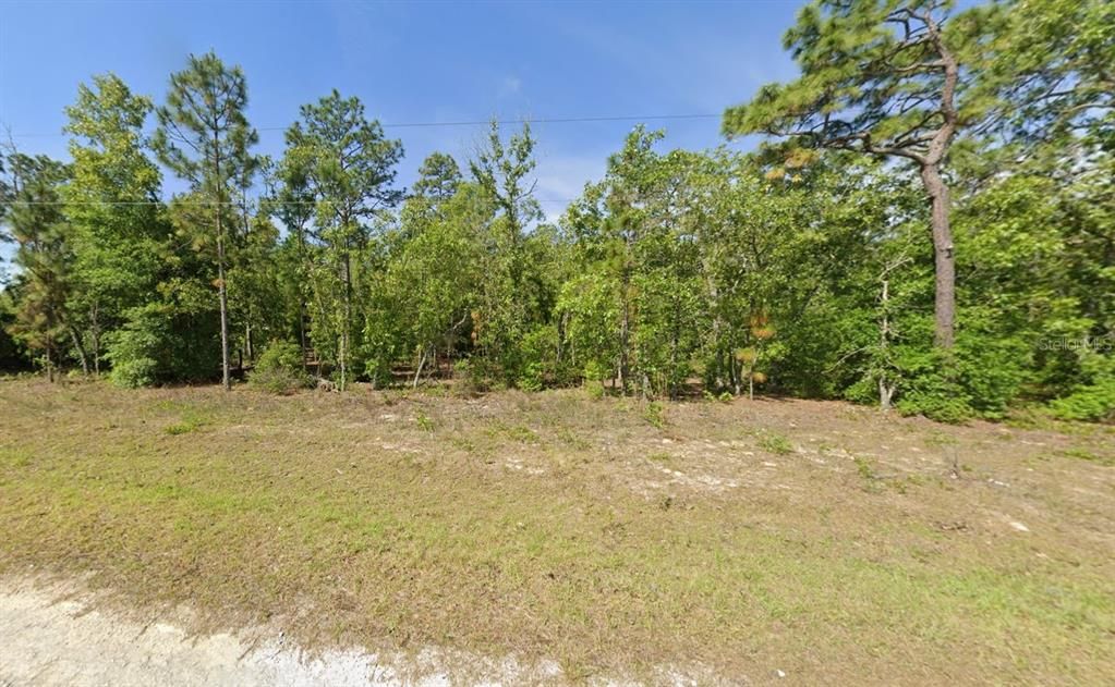 For Sale: $9,800 (0.34 acres)