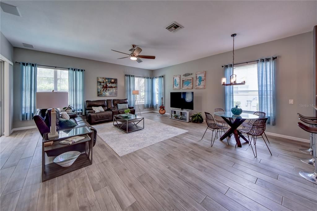 Living Room W/ Plenty of natural light