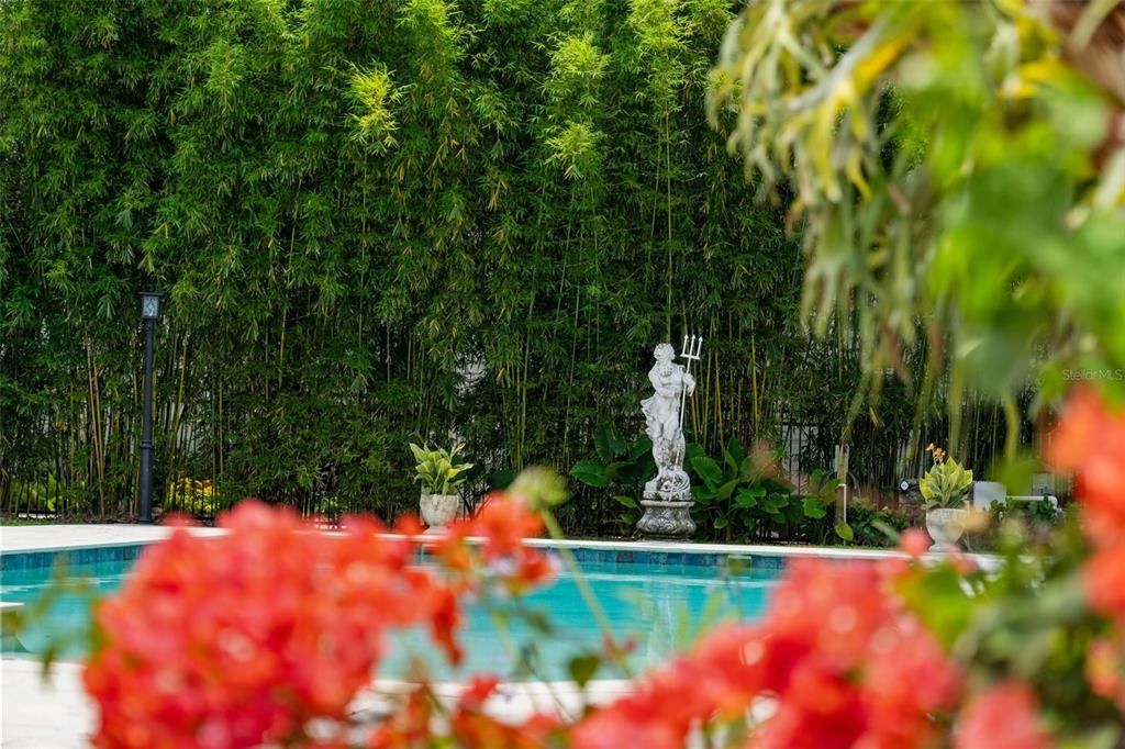 NEPTUNE GUARDS THE 20 X 40 SALTWATER POOL