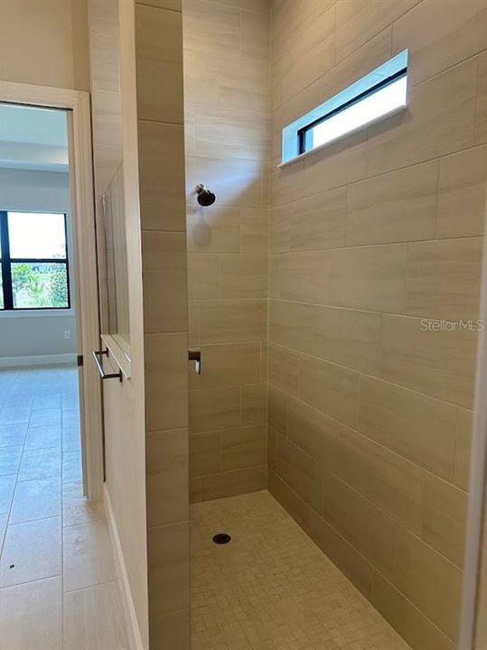 Large walk-in shower