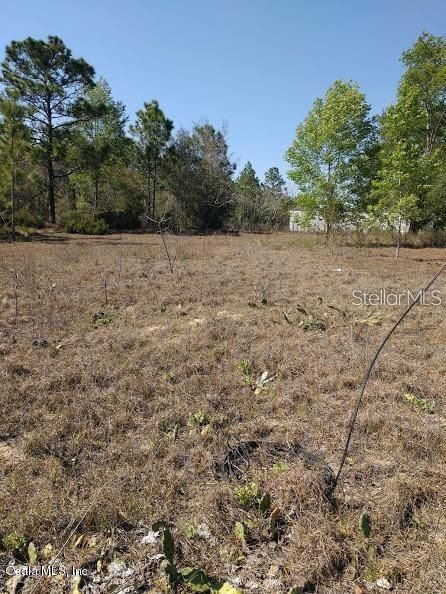 For Sale: $15,000 (0.24 acres)