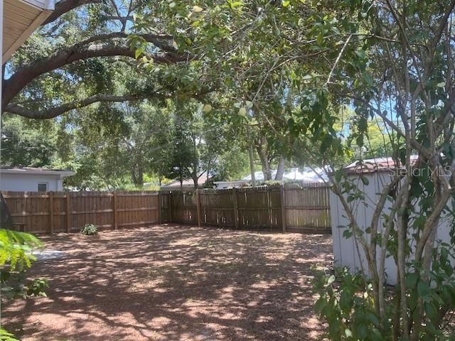 Peaceful backyard