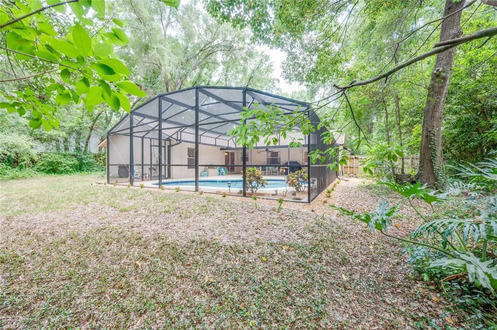 Back yard and pool