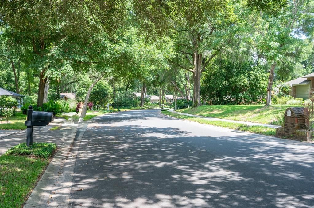 Neighborhood features mature trees arched over quiet streets