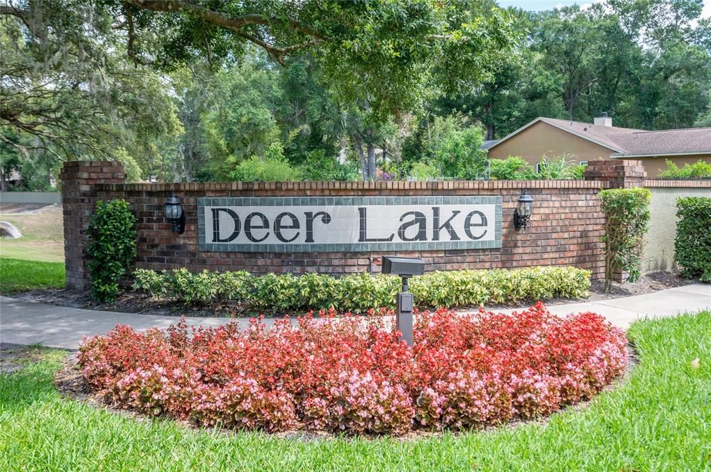 Welcome to Deer Lake Run, a Wekiwa Springs area neighborhood