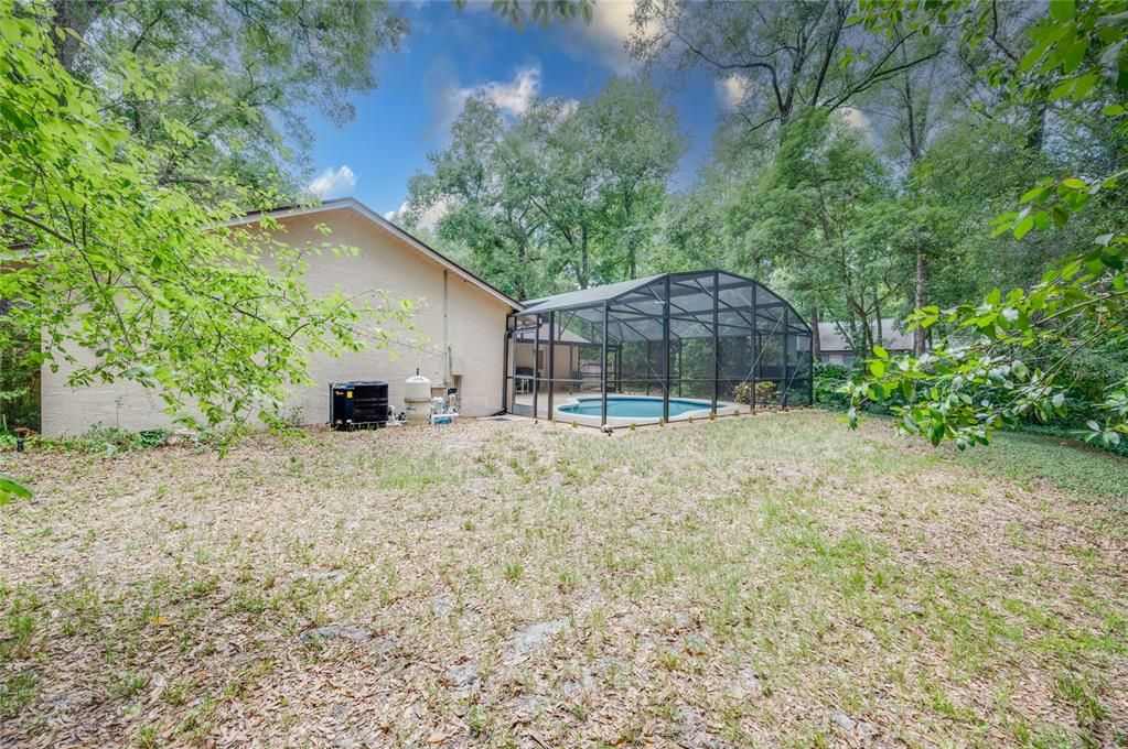 Plentiful back yard even with pool, shed, and natural landscape