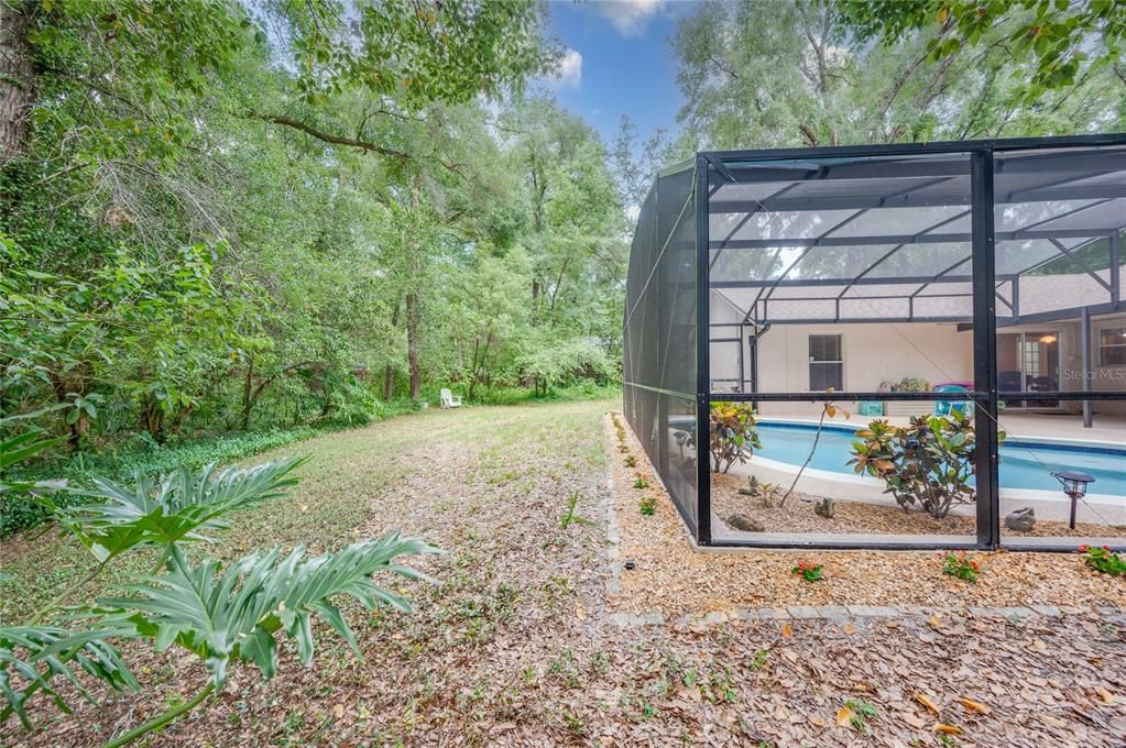 Back yard showing part of cleared area between pool and natural landscape