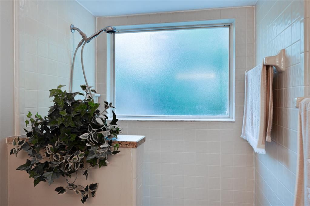 Primary bathroom's attractive doorless sunken shower - easier to clean!