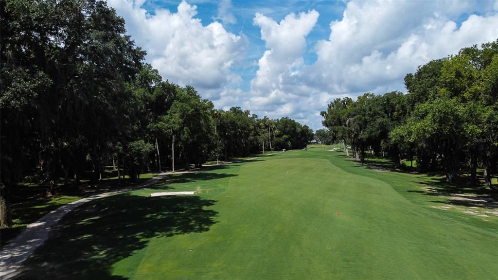 Situated On The 17th Fairway Of Palm Harbor Golf Course