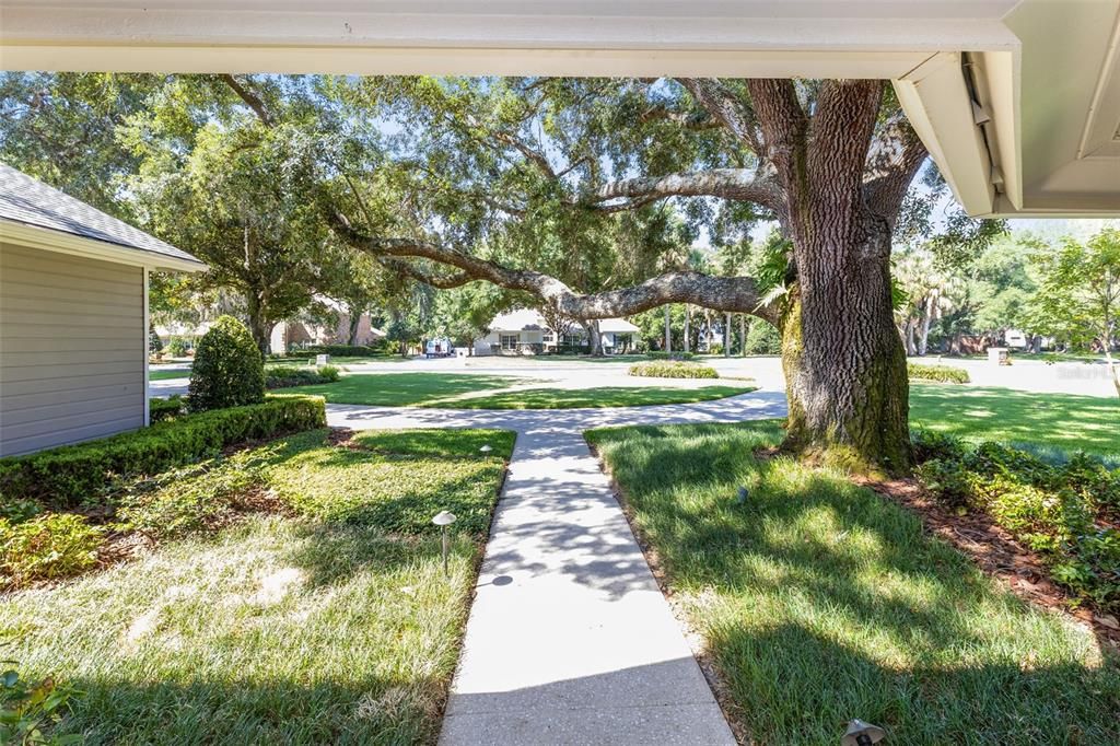 View from the front door and the circular driveway.