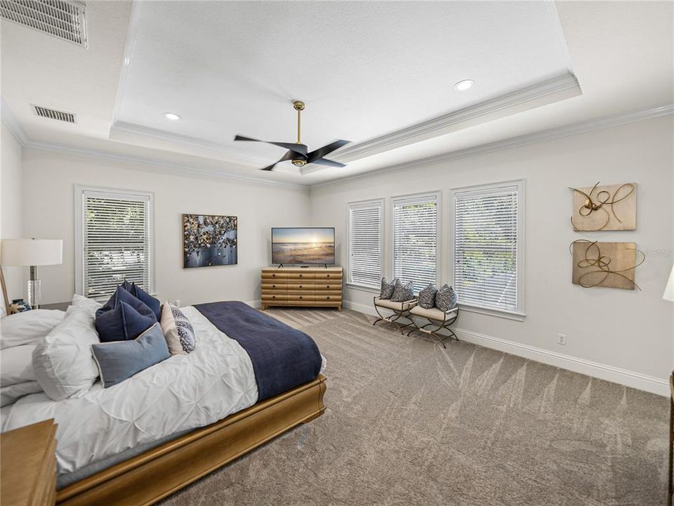 Primary bedroom features tray ceiling