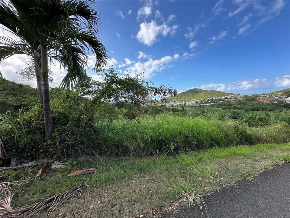 En Venta: $120,000 (0.25 acres)