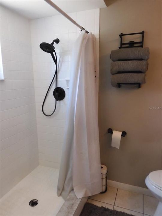 Step in shower in Master bath