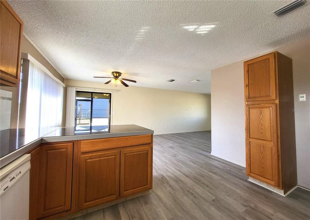 More cabinets under breakfast bar, and pantry closet.