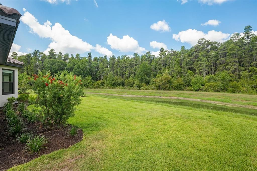 Imagine this being the view from the back of your home.