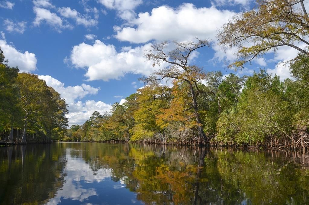 Withlacoochee River